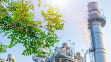 Sustainability Insights 2025